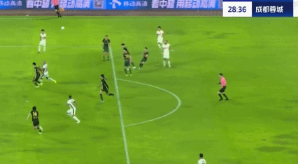 后领头羊 后领头羊