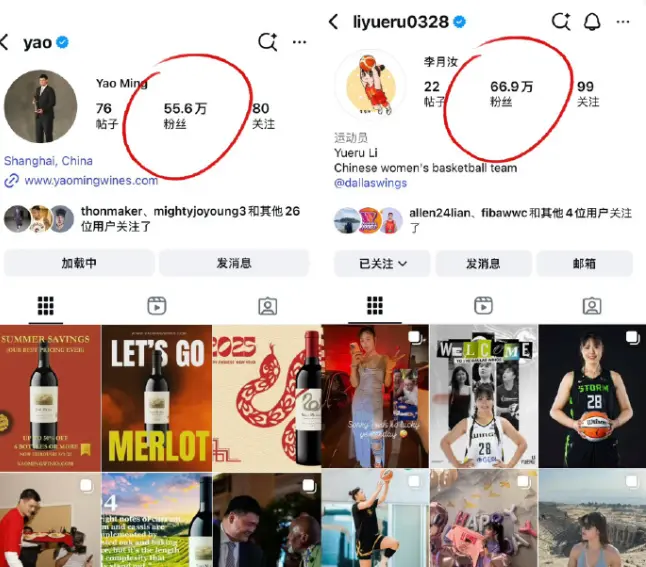 IG粉丝已, img, IG粉丝已 IG粉丝已, img, IG粉丝已