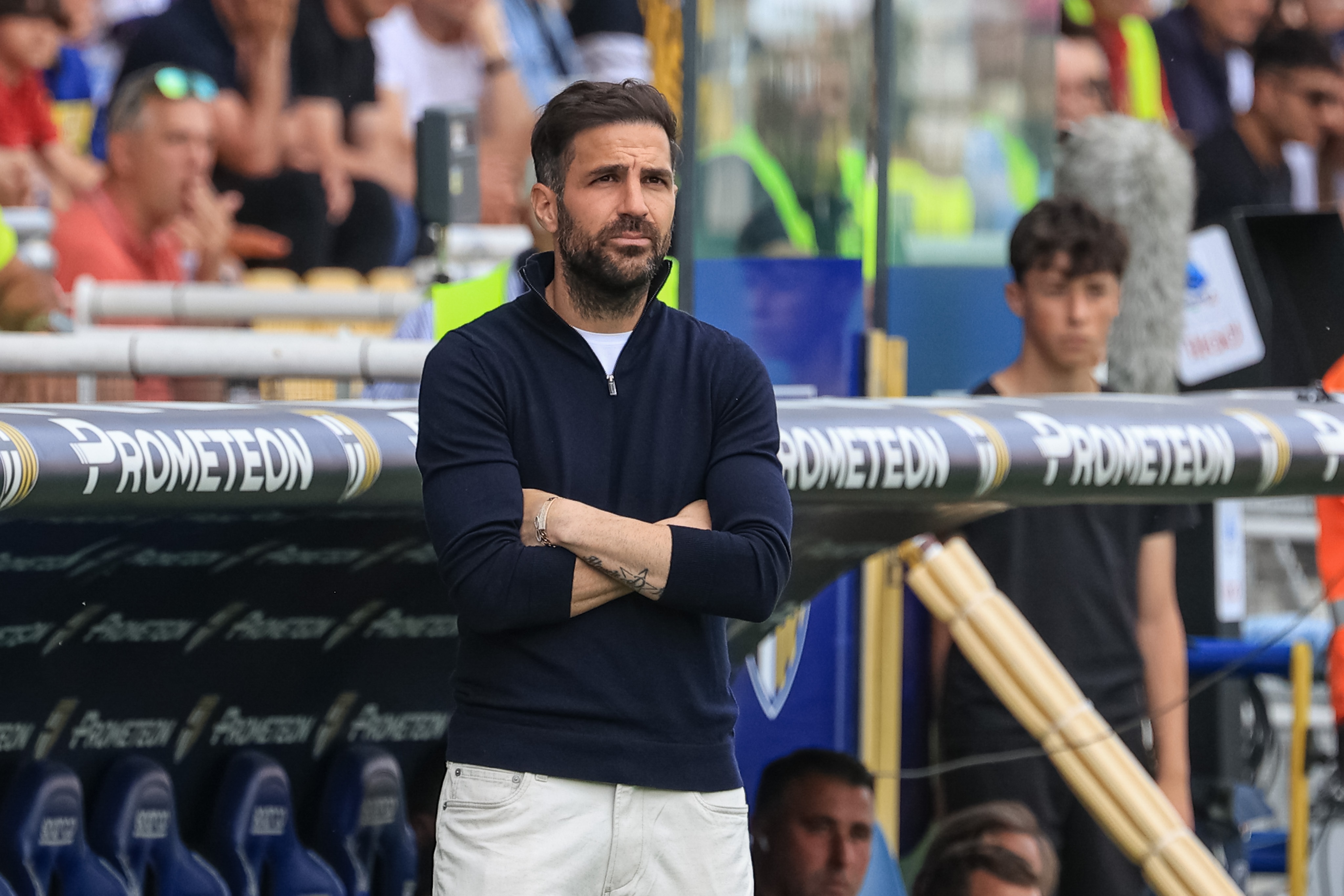 初在今年早 初在今年早