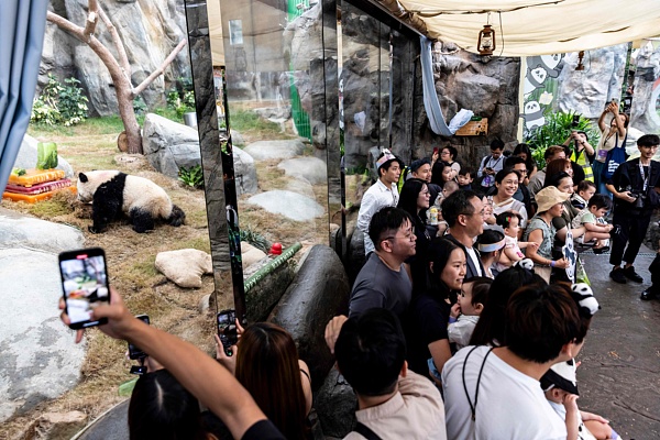 纷呈的展览, 游客能够尽 纷呈的展览, 游客能够尽