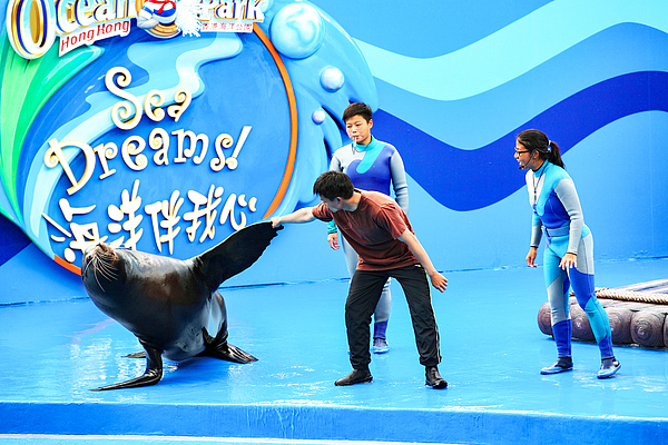 园为吸引全 园为吸引全